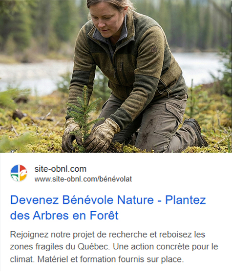 Exemple Google Ads bénévolat nature Adsoli