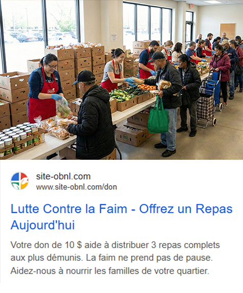 Exemple Google Ads don OBNL Adsoli